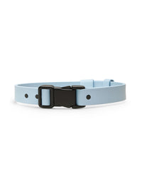 Everyday Dog Collar
